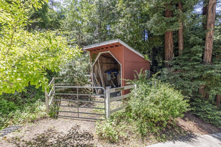 Shed