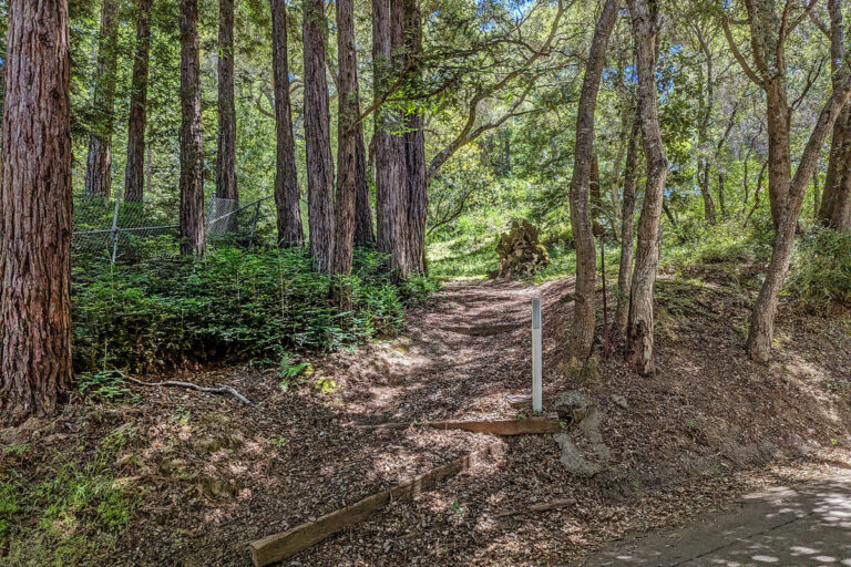 Trail (3)