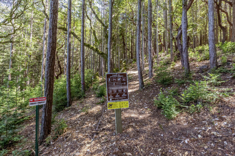 Trail (4)