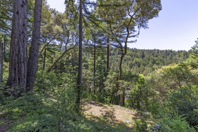 View (2)
